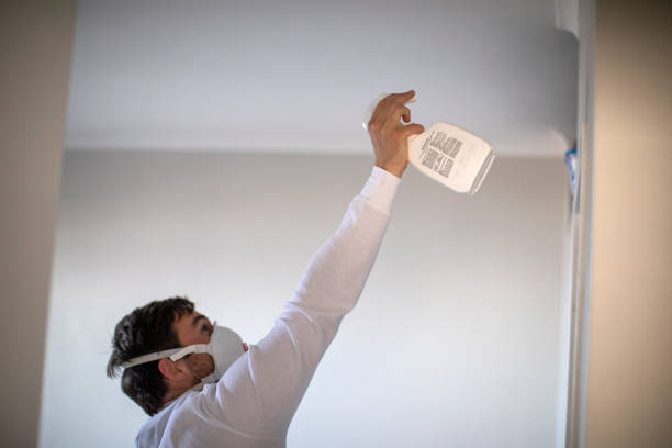 Best Attic Mold Removal  in Tipton, IA